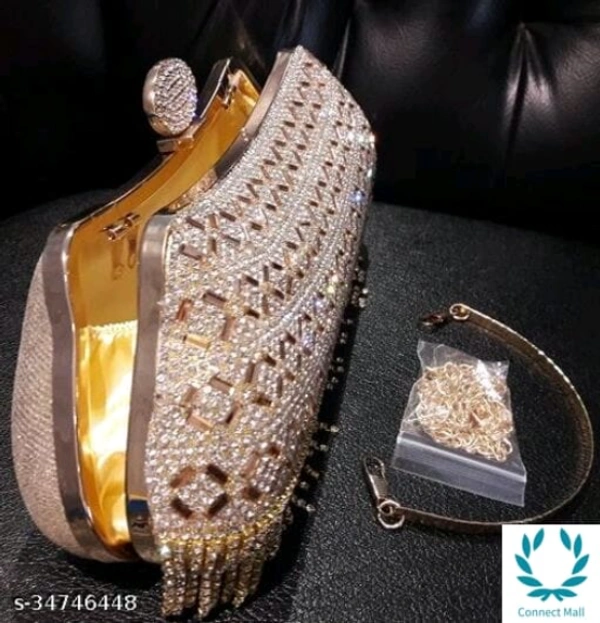 Trendy Women Clutcher